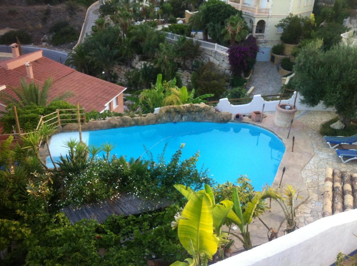 Apartment Alba